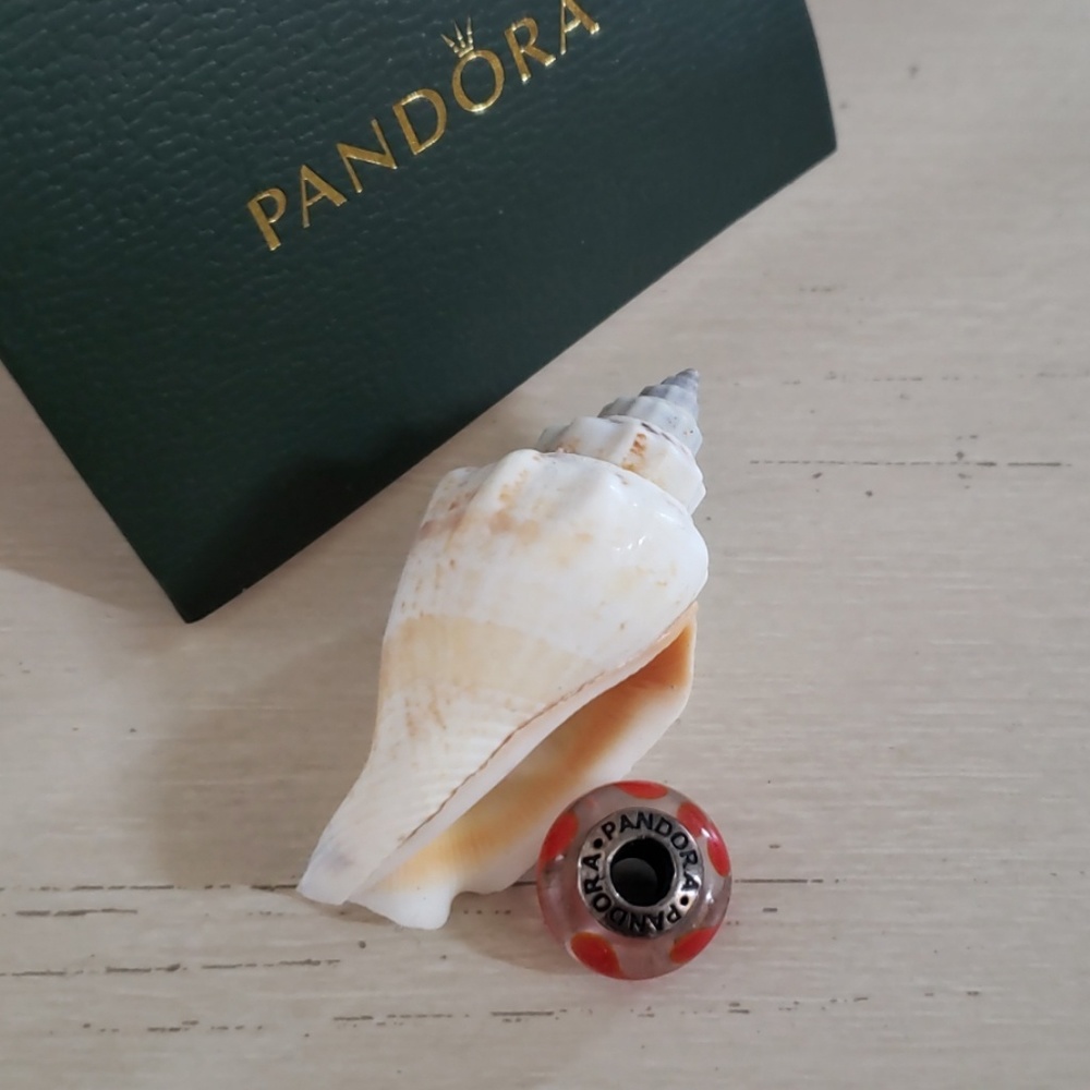 Pandora charm